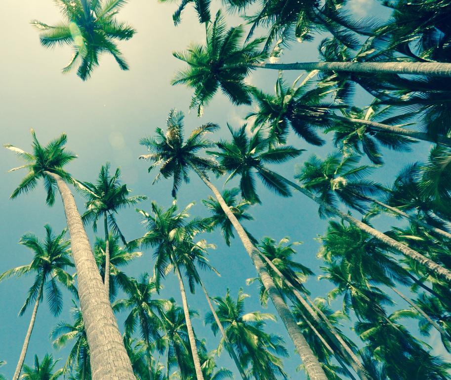 Big Bamboo De ウビタ エクステリア 写真